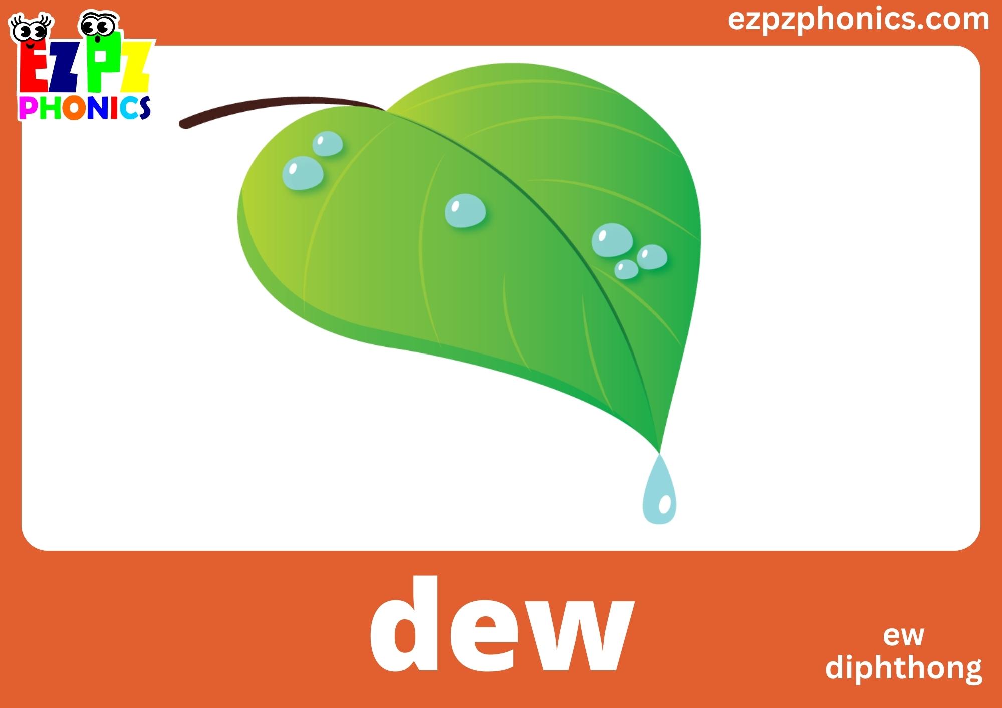 EW Diphthong Words Phonics Flashcards with Images and Words Free Printable PDF or View Online For Teachers and Parents to Teach Kindergarten and Preschool Children